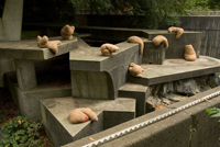 hibernatorsbyshirleywiebephotopaul-colangelo Hibernators, an Ephemeral Work by Shirley Wiebe. Photo: Paul Colangelo